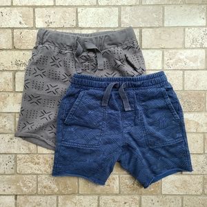 Tea Collection Shorts